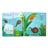 Little Frog Stoybook (Discover an Amazing Story from the Natural World)