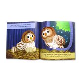 Little Owl Stoybook (Discover an Amazing Life Cycle from the Natural World)